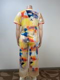 Plus Size Short Sleeve Loose Print Two PIece Pants Set GAWE-6200