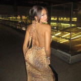 Backless Hang Neck Leopard Print Dress XEF-50444