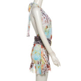 Deep V Neck Tie Up Halter Print Dress XEF-51242