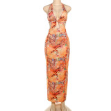 Backless Tie Up Halter Print Maxi Dress XEF-50915