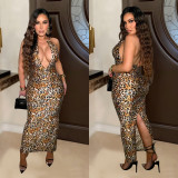 Leopard Print Sleeveless Backless Maxi Dress BY-6982