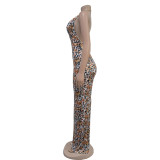 Leopard Print Sleeveless Backless Maxi Dress BY-6982