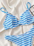 Sexy Bikini Steel Brace Two Piece Swimsuit CSYZ-911