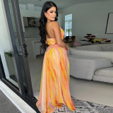 Lace-up Sleeveless V-Neck Printed Long Dress CYA-CY901297