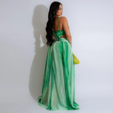 Lace-up Sleeveless V-Neck Printed Long Dress CYA-CY901297