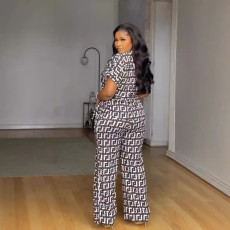 Print V Neck Wide Leg Pants Two Piece Set NY-10870