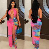 Print V Neck Backless Halter Maxi Dress BY-7006