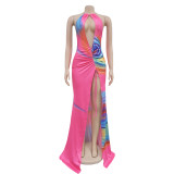 Print V Neck Backless Halter Maxi Dress BY-7006