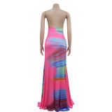Print V Neck Backless Halter Maxi Dress BY-7006