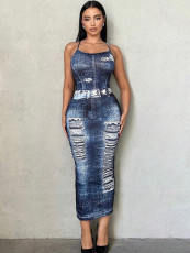 Sexy Print Backless Hang Neck Long Dress GADE-5946