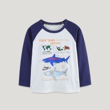 Kids Boys Print Color Block T Shirt GASD-5373