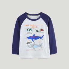 Kids Boys Print Color Block T Shirt GASD-5373
