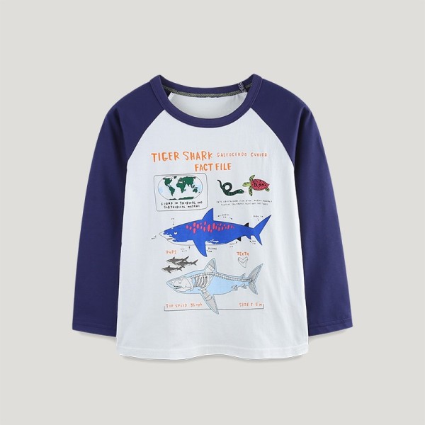 Kids Boys Print Color Block T Shirt GASD-5373
