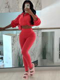 Hooded Long Sleeve Drawstring Tops Pants Suit CH-HR24059