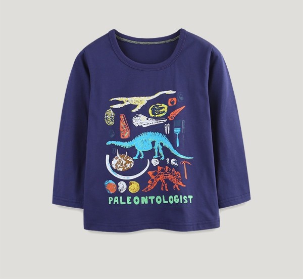 Kids Boy's  Dinosaur printing Long Sleeve Casual T Shirt GASD-5391