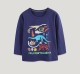 Kids Boy's  Dinosaur printing Long Sleeve Casual T Shirt GASD-5391
