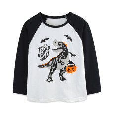 Kids Boy's Halloween Dinosaur Print Long Sleeve T-Shirt GASD-5394
