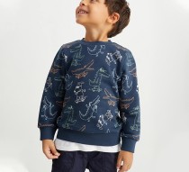 Kids Boy's Dinosaur Print Fashion Sweatshirt GASD-8237