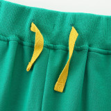 Kids Dinosaur Embroidered Boys' Sweatpants GASD-3123