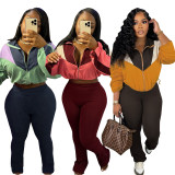 Colorblocked Zipper Cardigan Leggings Sweatsuit Suit SFY-545