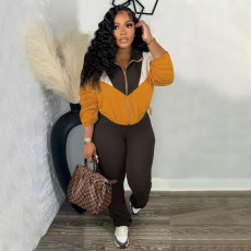 Colorblocked Zipper Cardigan Leggings Sweatsuit Suit SFY-545