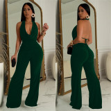 Sleeveless Backless Tops And Pants 2 Piece Set BY-7085