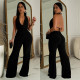 Sleeveless Backless Tops And Pants 2 Piece Set BY-7085