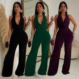 Sleeveless Backless Tops And Pants 2 Piece Set BY-7085