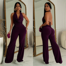 Sleeveless Backless Tops And Pants 2 Piece Set BY-7085