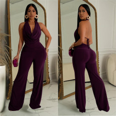Sleeveless Backless Tops And Pants 2 Piece Set BY-7085