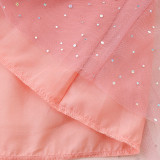 Kids Girls Long Sleeve Mesh Embroidered Princess Dress GASD-1567