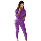 Plus Size Solid Long Sleeve Sweater Two Piece Pants Set GBLH-1118#