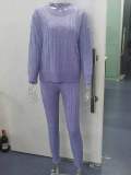 Plus Size Solid Long Sleeve Sweater Two Piece Pants Set GBLH-1118#