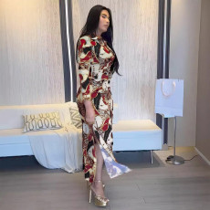 Print Long Sleeve Button Side Split Maxi Dress NY-10897