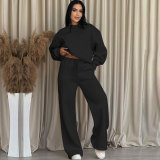 Solid Color Long Sleeve Loose Wide Leg Pants Set SSNF-211470