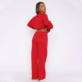 Solid Color Loose Long Sleeve Pants Two Piece Set SSNF-211468