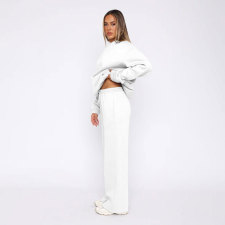 Solid Long Sleeve Hooded Sweatshirt Pants 2 Piece Set SSNF-211467