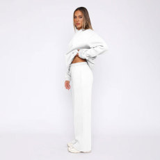 Solid Long Sleeve Hooded Sweatshirt Pants 2 Piece Set SSNF-211467
