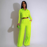 Solid Color Lapel Long Sleeve Loose Pants Suit SFY-TW584