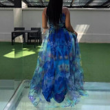 Mesh Patchwork Split Sling Print Maxi Dress NY-S10899