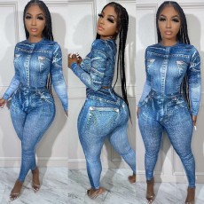 Fashion Print Long Sleeve Tight Two Piece Set SXF-A89028
