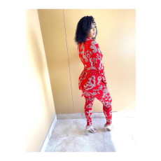 Fashion Print Zipper Loungewear Jumpsuit QZX-FM6299