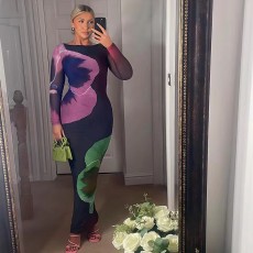 Colorful Print Long Sleeve Maxi Dress QOUY-M6019S