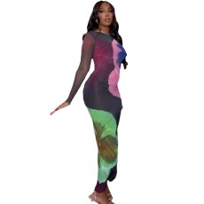 Colorful Print Long Sleeve Maxi Dress QOUY-M6019S
