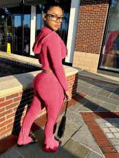Fashion Hooded Long Sleeve Flare Pants 2 Piece Set CH-HR24063
