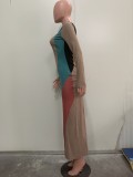 Multicolor Patchwork Long Sleeve Slim Maxi Dress ORY-Y5263