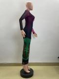 Colorful Print Long Sleeve Maxi Dress QOUY-M6019S