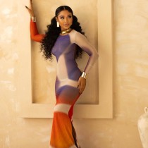 Colorfuil Print O Neck Long Sleeve Maxi Dress QOUY-M6014