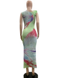 Mesh Slash Neck Print Maxi Dress QOUY-M6042