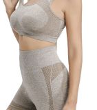 Casual Yoga Sports Vest Two Piece Shorts Set YUEM-220244